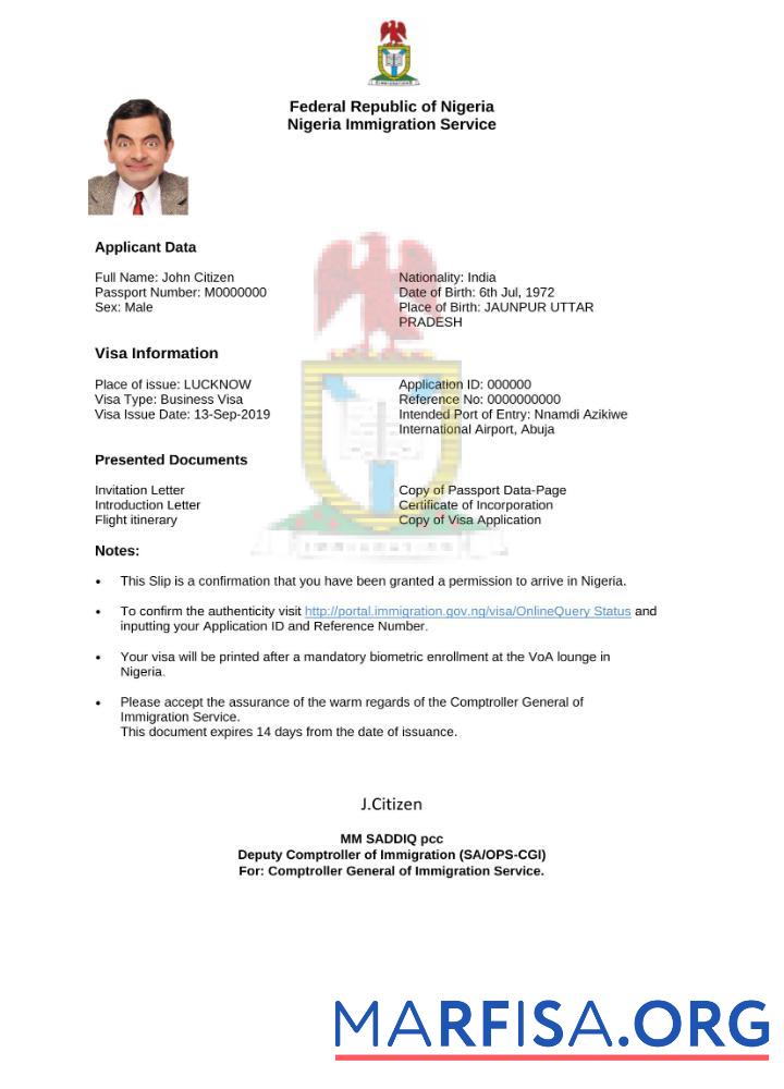 Printable Nigeria e visa in Word and Pdf template